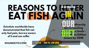Fish in Your Diet: Necessary or Not?