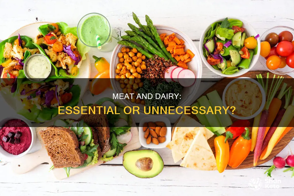do we need meat and dairy in our diet
