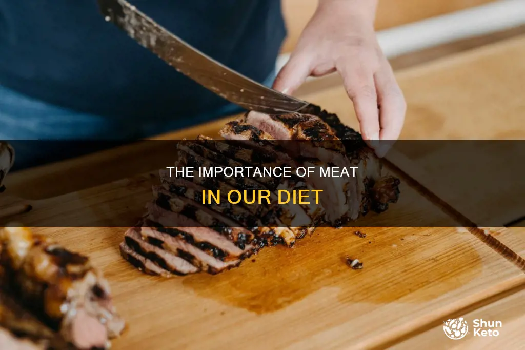 do we need meet in our diet