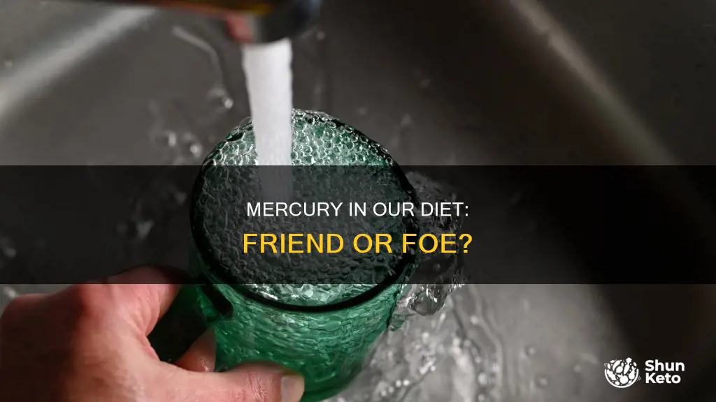do we need mercury in our diet