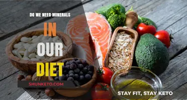 Minerals: Essential Dietary Components for Human Health