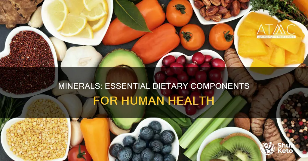 do we need minerals in our diet