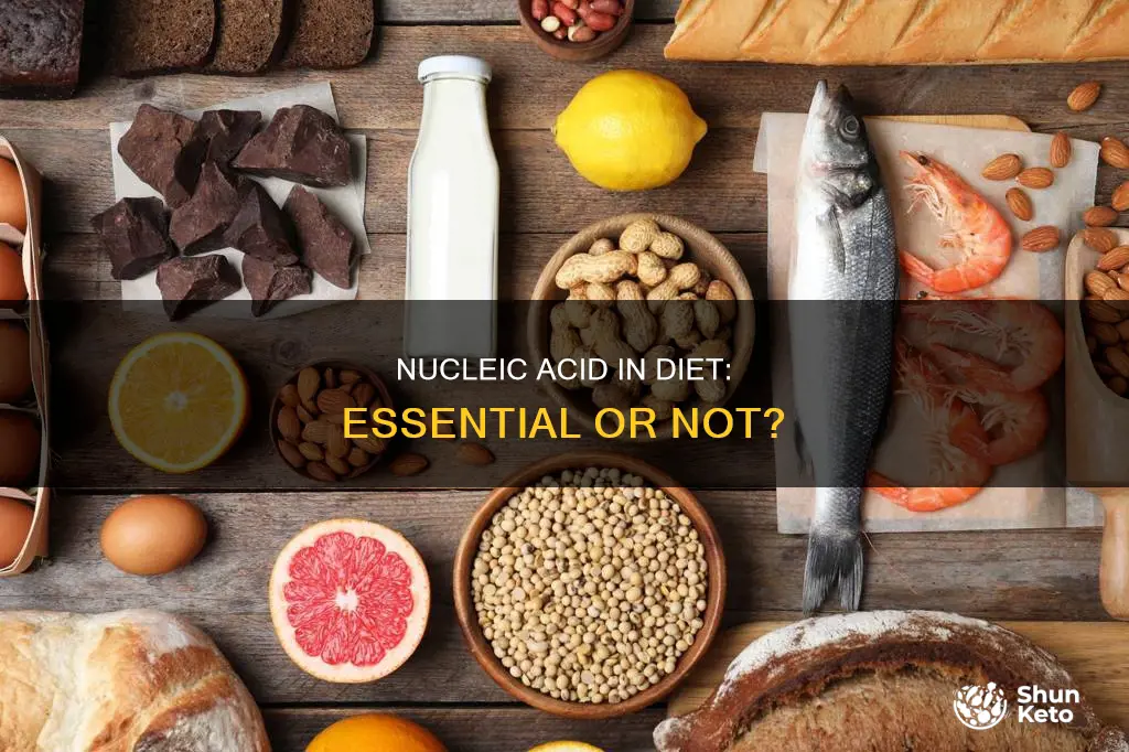 do we need nucleic acid in your diet