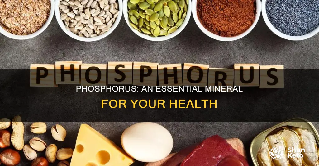 do we need phosphorus in our diet