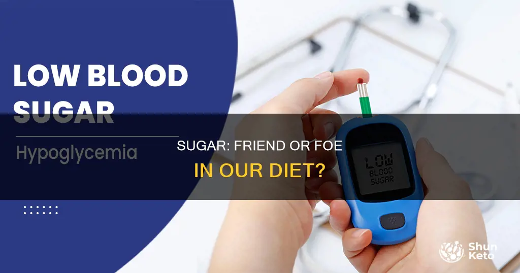 do we need refined sugar in our diet