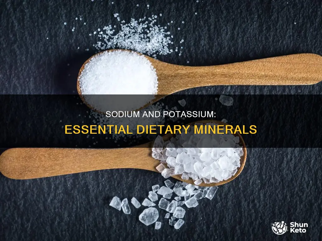 do we need sodium and potassium in our diet
