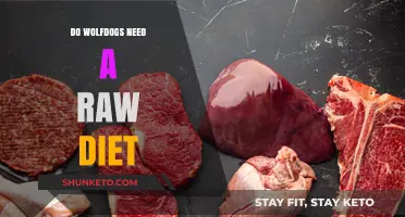 Wolfdogs' Raw Diet: Essential or Not?