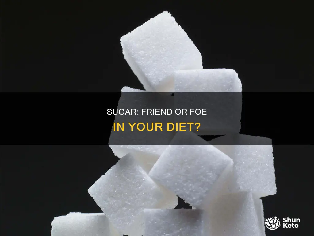 do yoi jeed sugar in yoir diet