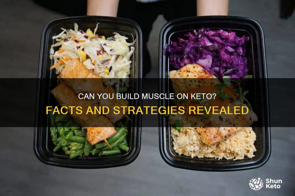 do you build muscle on keto