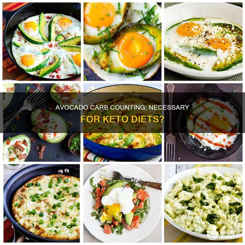 do you count avocado carbs on keto