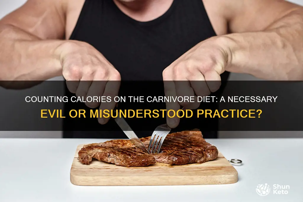 do you count calories on carnivore diet