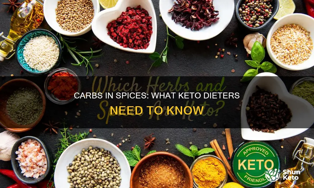 do you count carbs in spices on keto