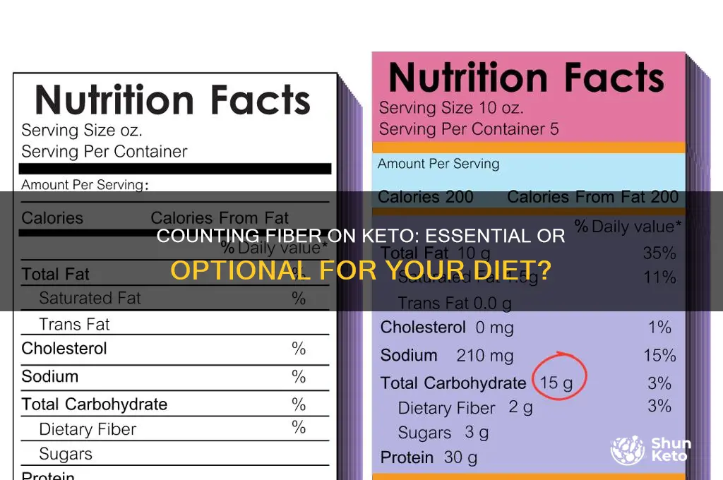 do you count fiber on keto diet