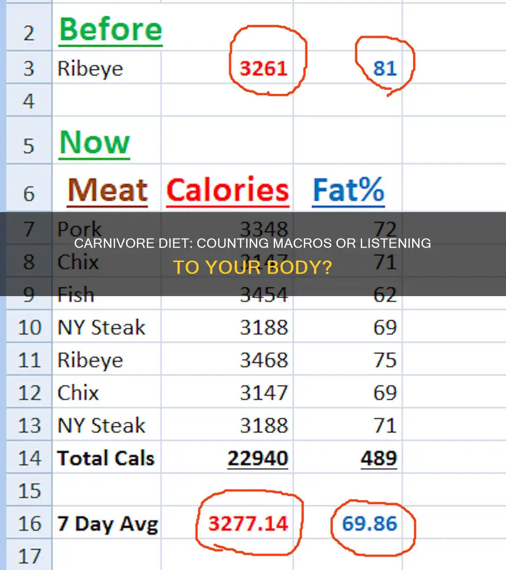 do you count macros on carnivore diet