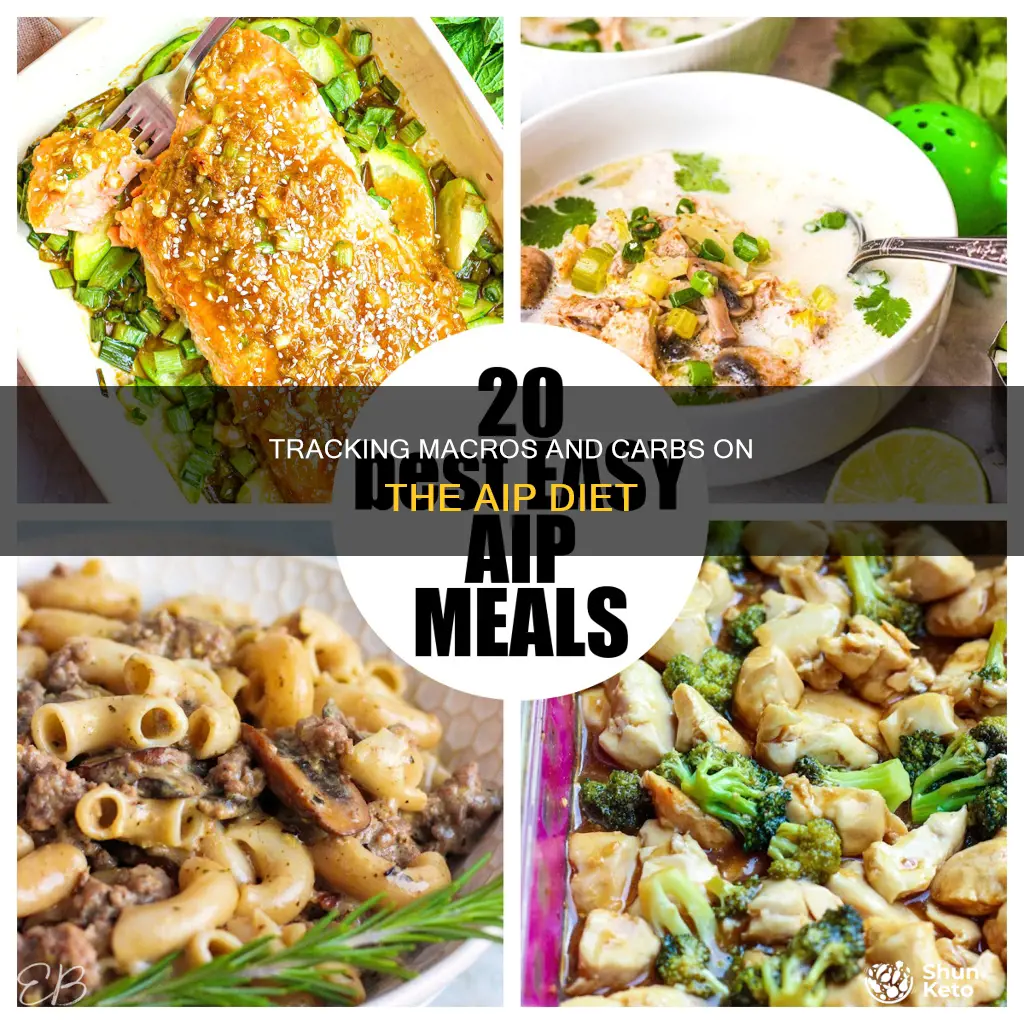 do you count macros or carbs on aip diet