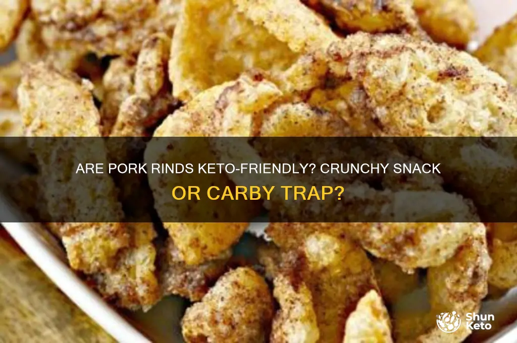 do you count pork rinds on keto