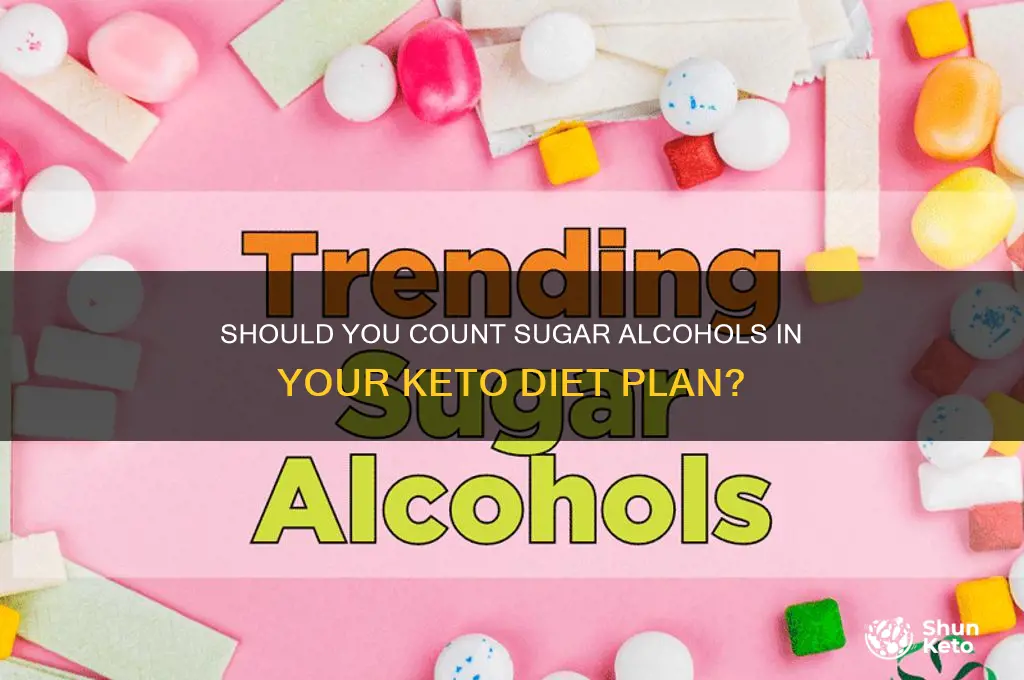 do you count sugar alcohols in keto diet
