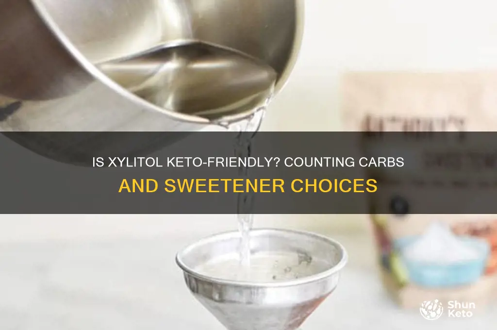 do you count xylitol on keto