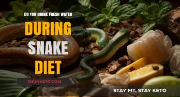 Snake Diet: Can You Drink Fresh Water?
