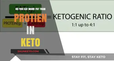 Keto Diet Basics: Balancing Fat and Protein Intake for Optimal Results