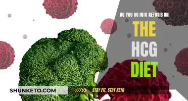 Ketosis and the HCG Diet: What's the Link?