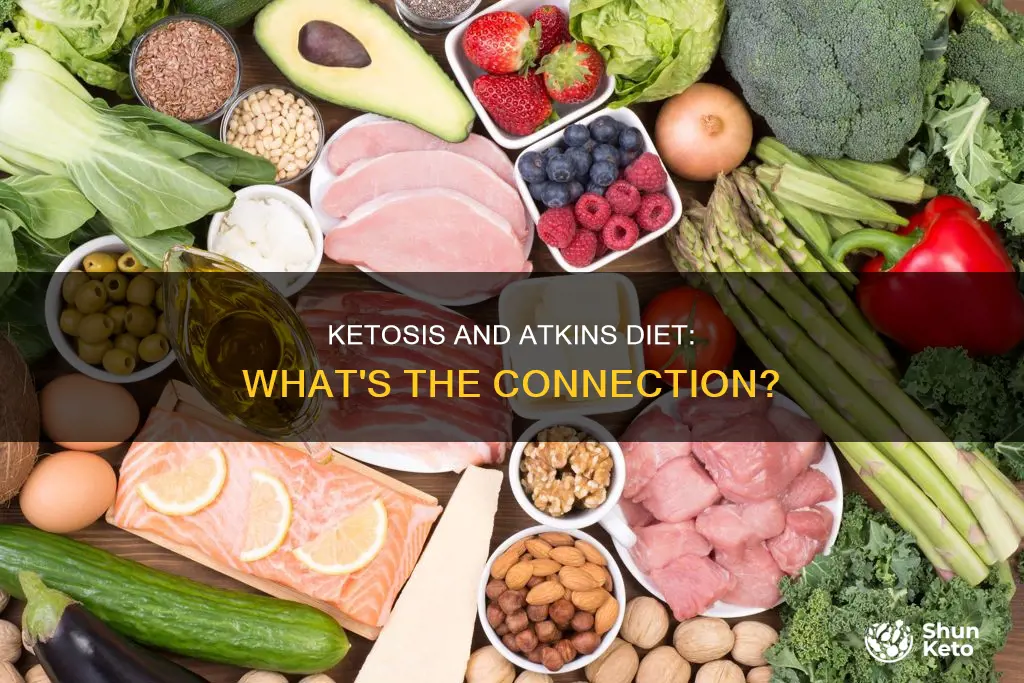 do you go ketosis on atlins diet