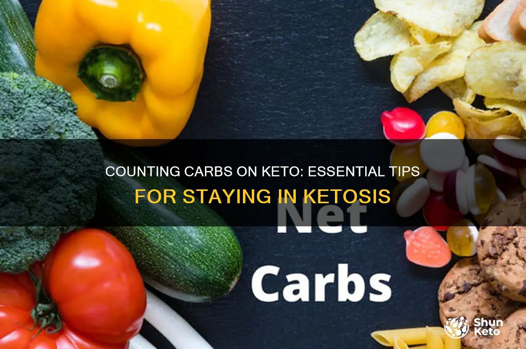 do you have count that on keto diet