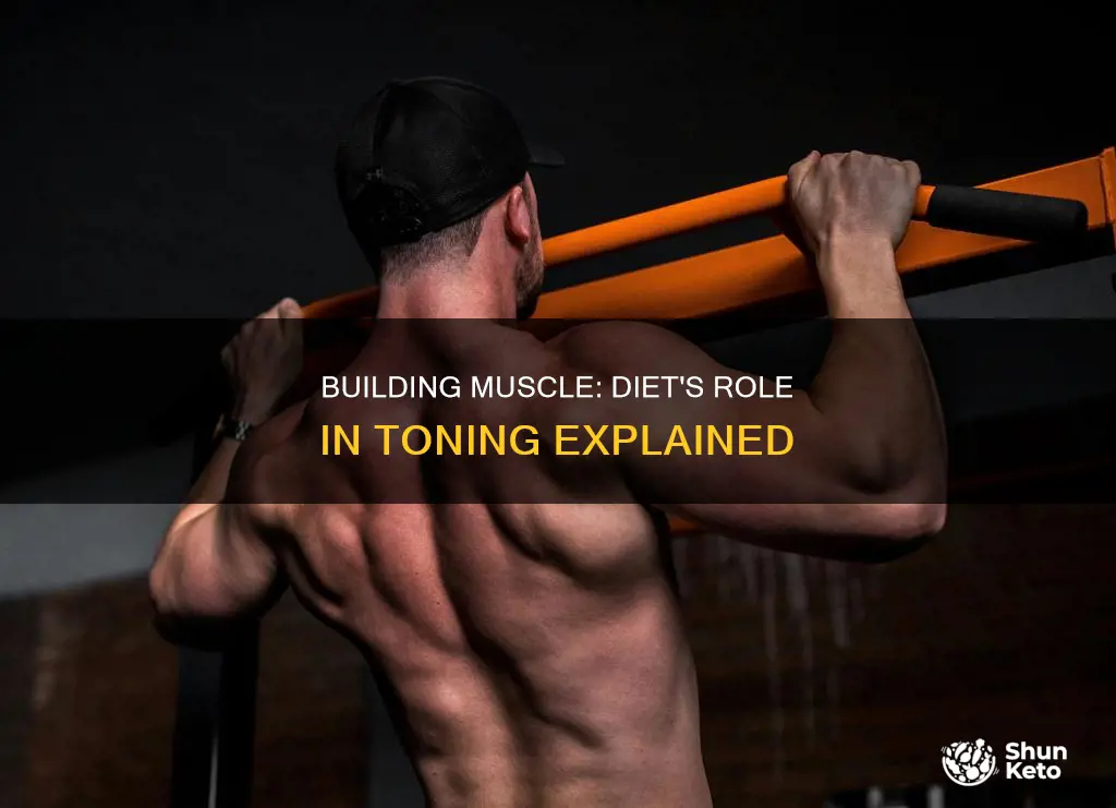 do you have to change your diet to tone muscle