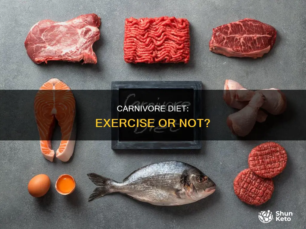 do you have to exercise on the carnivore diet