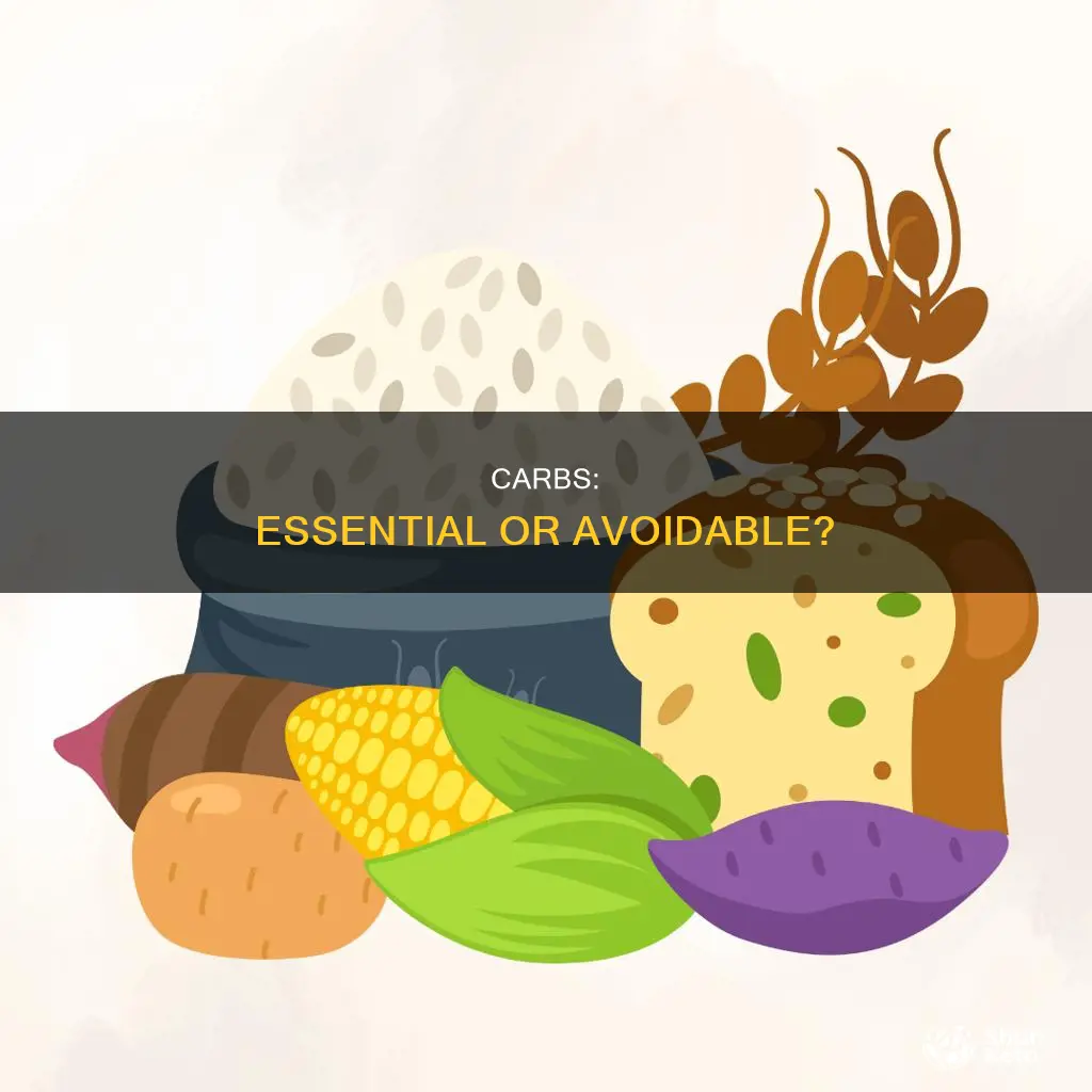 do you have to have carbs in your diet