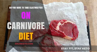 Electrolytes on Carnivore Diet: Necessary or Not?