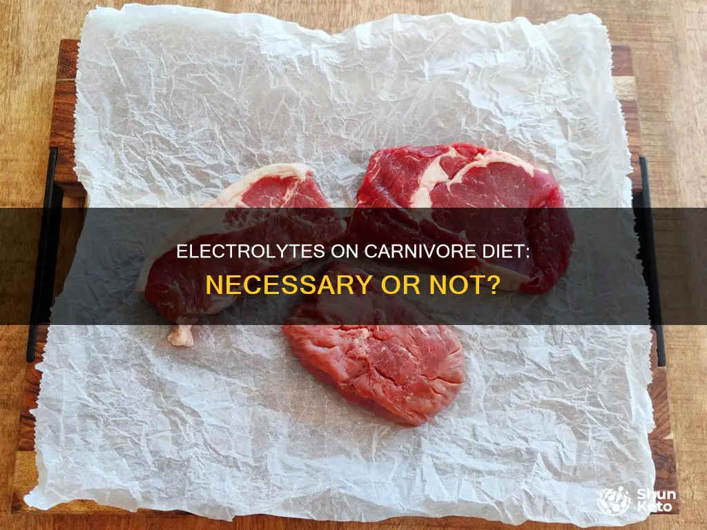 do you have to take electrolytes on carnivore diet