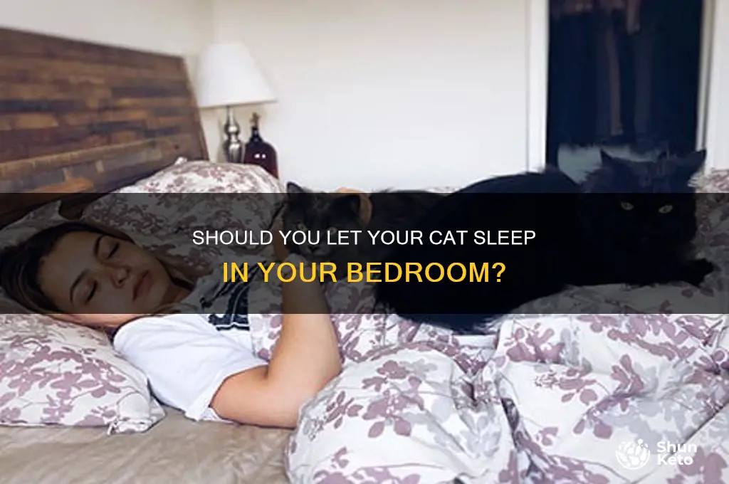 do you ket yoi cat in your bedroom