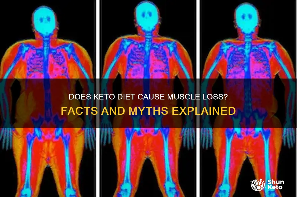 do you lose muscle mass on keto diet