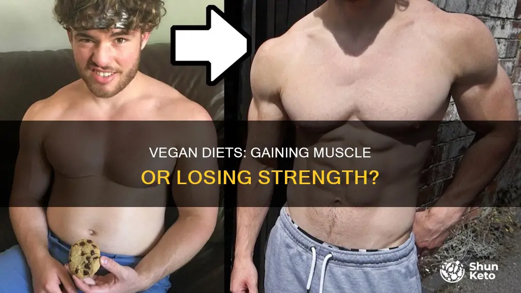 do you lose muscle on a vegan diet