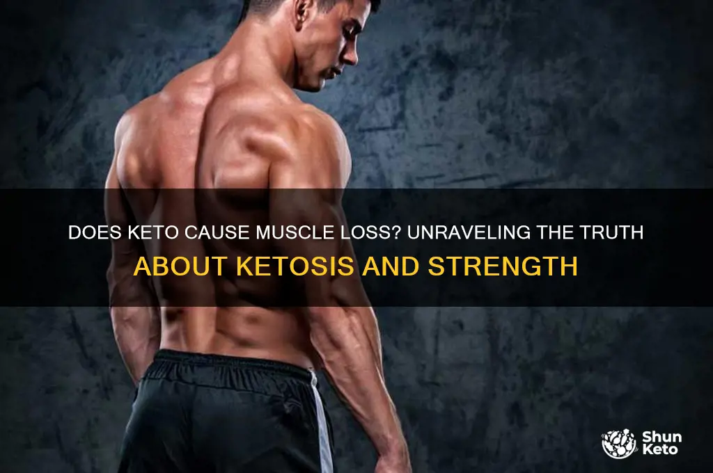 do you lose muscle on keto