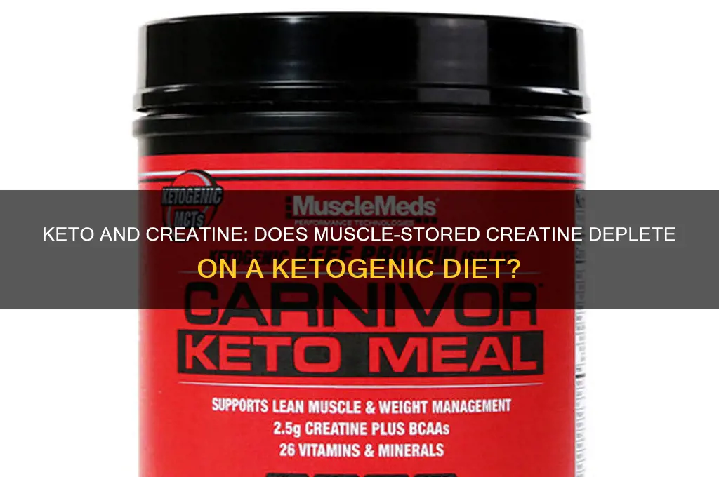 do you lose muscle stored creatine on keto