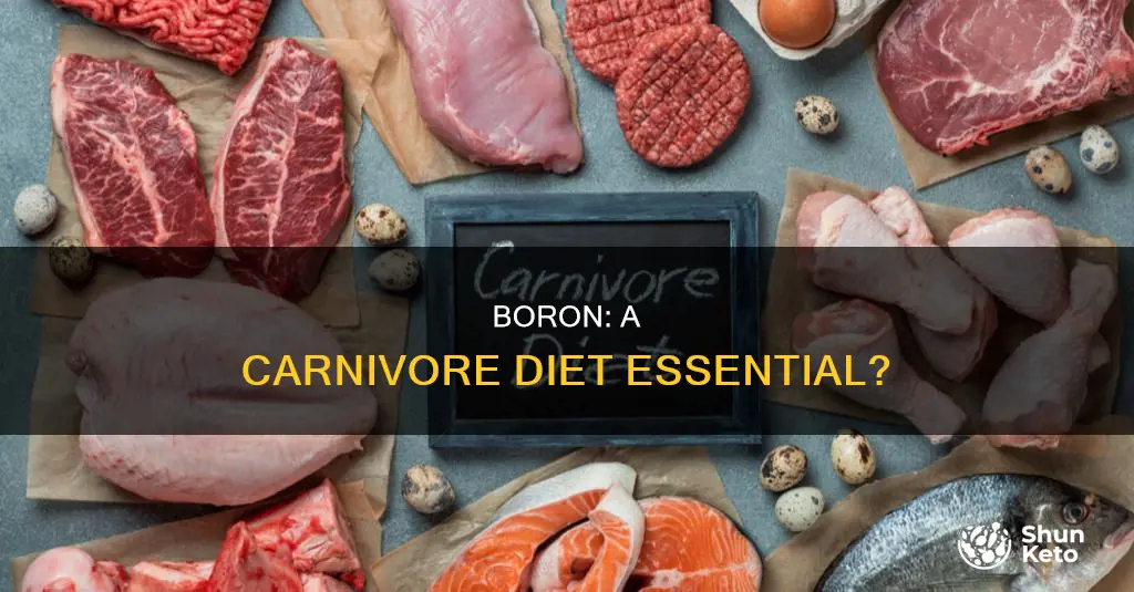 do you need boron on carnivore diet