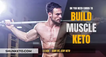 Building Muscle on Keto: The Role of Carbs