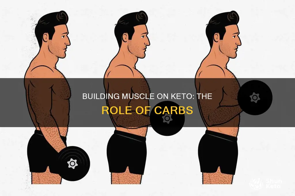 do you need carbs to build muscle keto