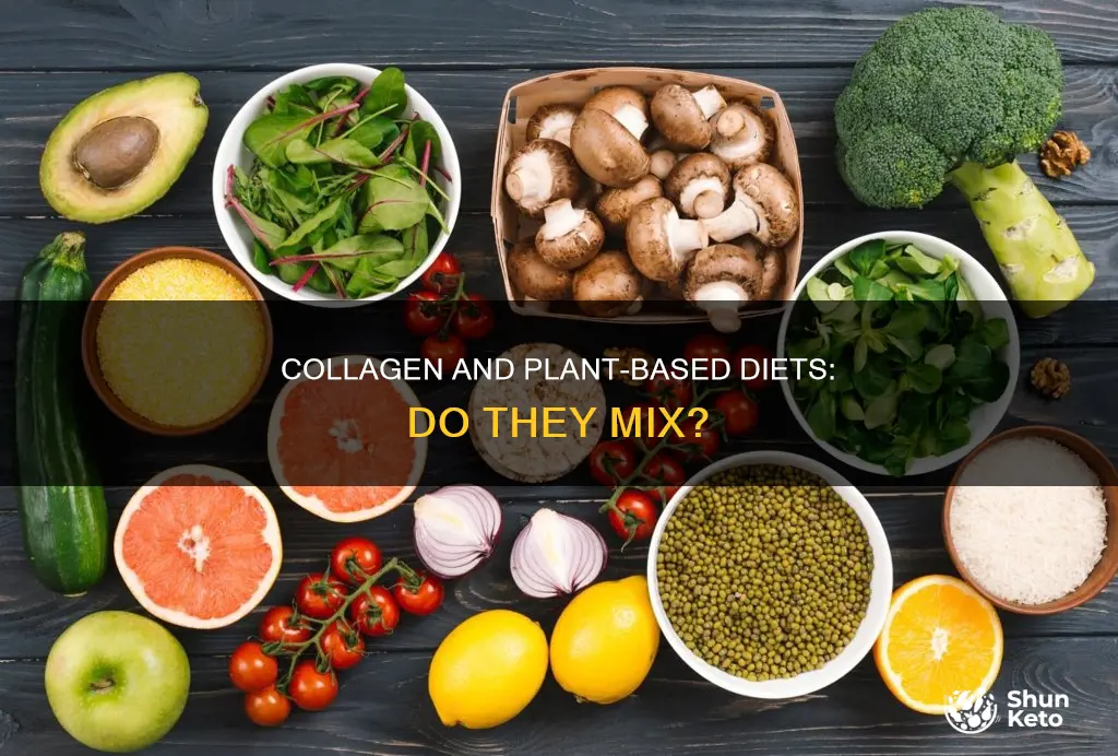 do you need collagen on plant based diet