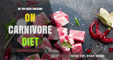Carnivore Diet and Creatine: Do You Need Both?