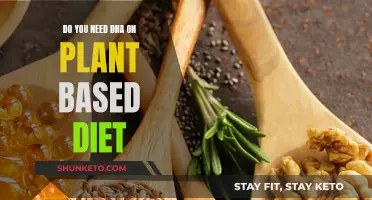 DHA on Plant-Based Diets: Do You Need a Supplement?