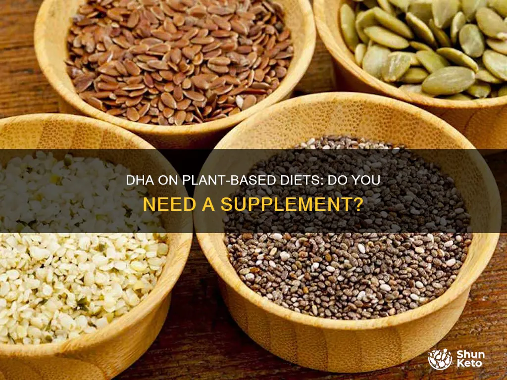 do you need dha on plant based diet