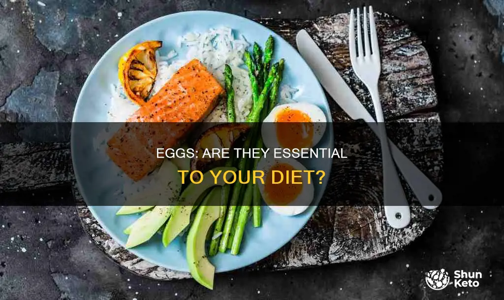 do you need eggs in your diet