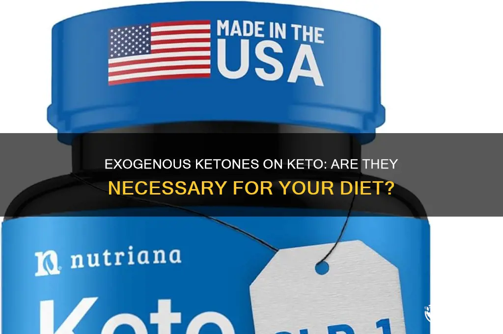 do you need exogenous ketones on keto diet