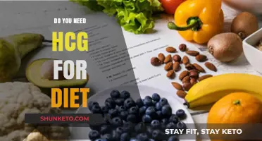 HCG Diet: Is the HCG Hormone Necessary?