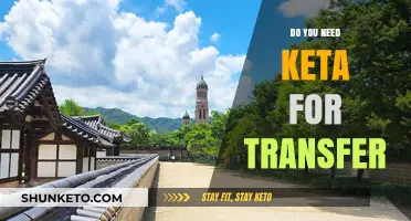Keta for Transfer: Essential or Optional? A Comprehensive Guide