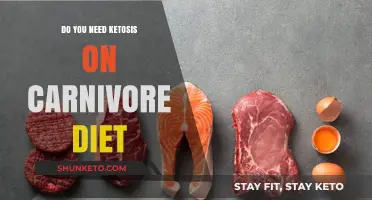 Carnivore Diet: Ketosis Friend or Foe?