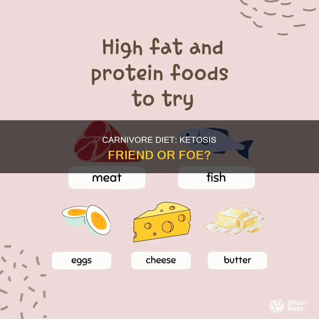 do you need ketosis on carnivore diet
